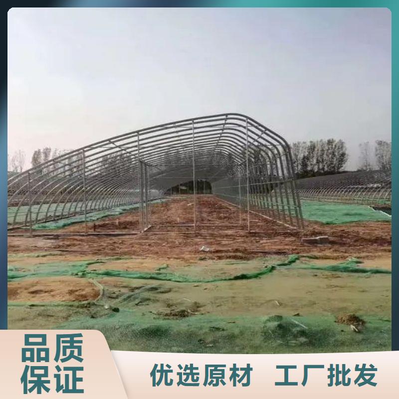 玻璃温室大棚厂家本地经销商