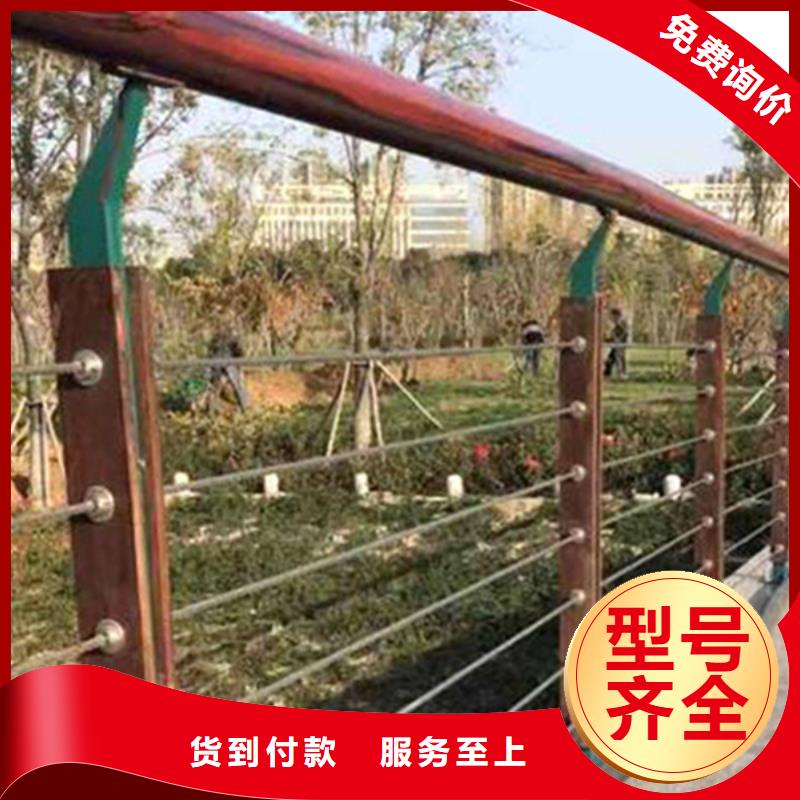不锈钢绳索护栏-踏踏实实做产品产地采购
