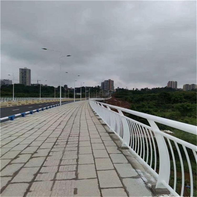 河道专护栏来样加工闪电发货