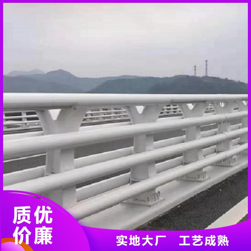专业销售灯光河道护栏-品牌本地货源