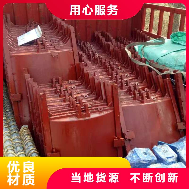 复合闸门按需定制诚信为本