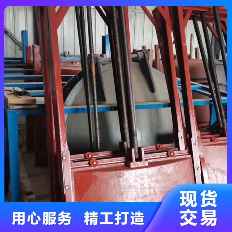扇形闸门支持定制好厂家有担当