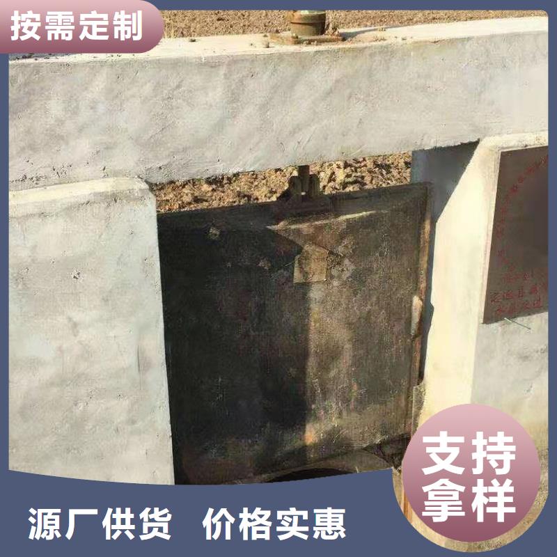 扇形闸门可定制支持加工定制