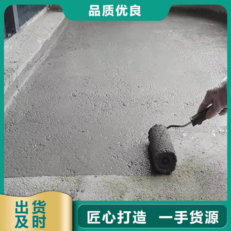 水泥基层防水抗渗材料技术指导当地制造商