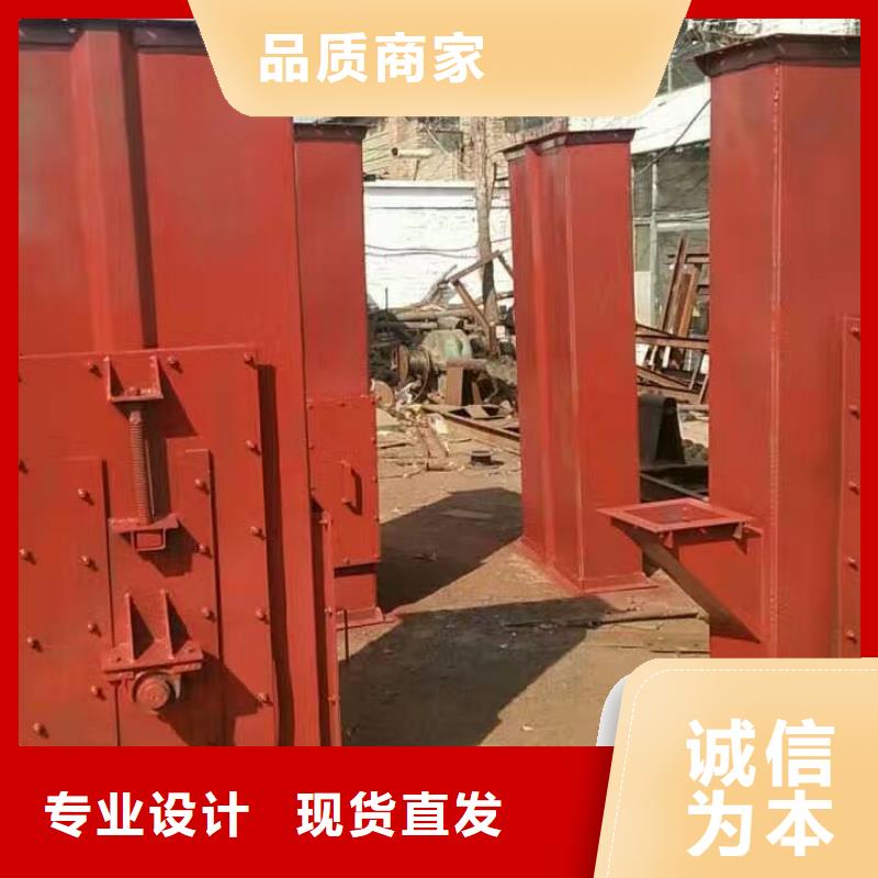 NE板链型斗式机报价当地生产商