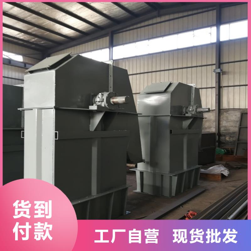 TD400斗式机实体厂家现货充裕