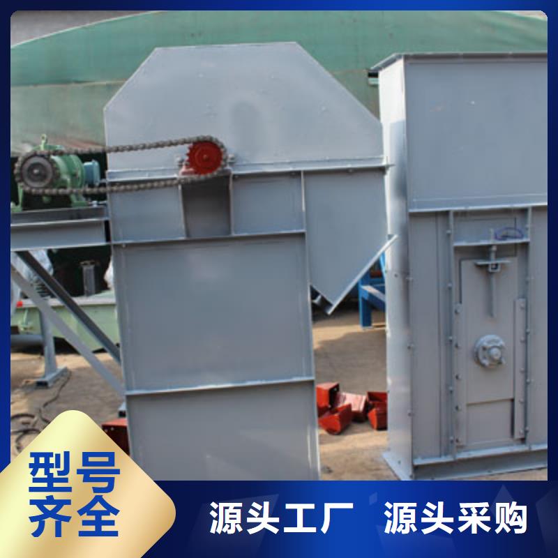 NE板链型斗式机价格实力雄厚经验丰富质量放心