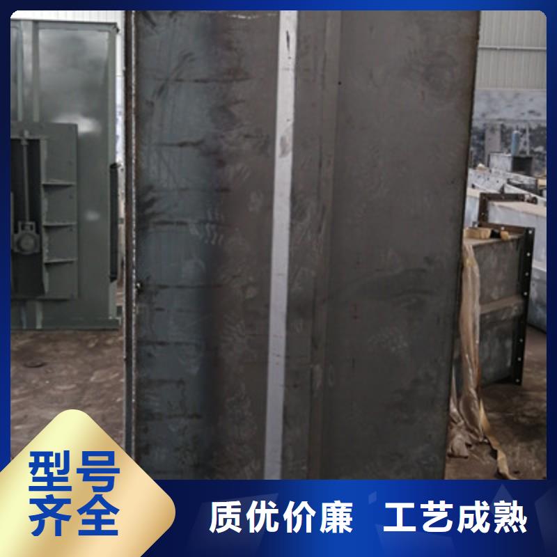 TH环链160型斗式机货源充足当地品牌