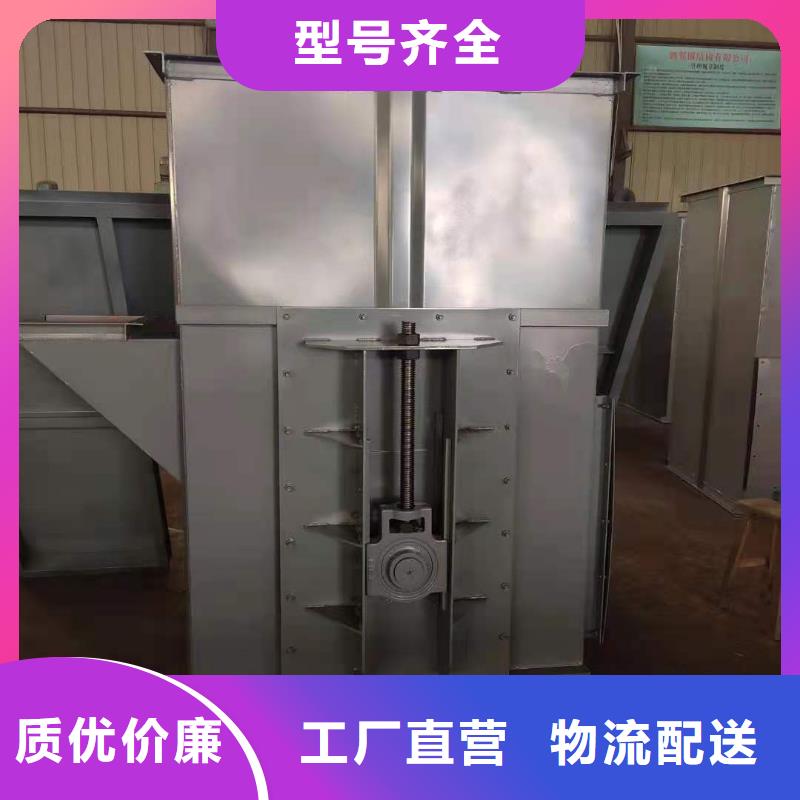 NE板链型斗式机欢迎订购精心打造