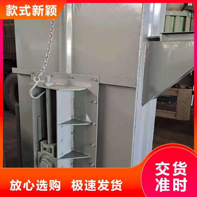 NE板链型斗式机价格厂家同城制造商