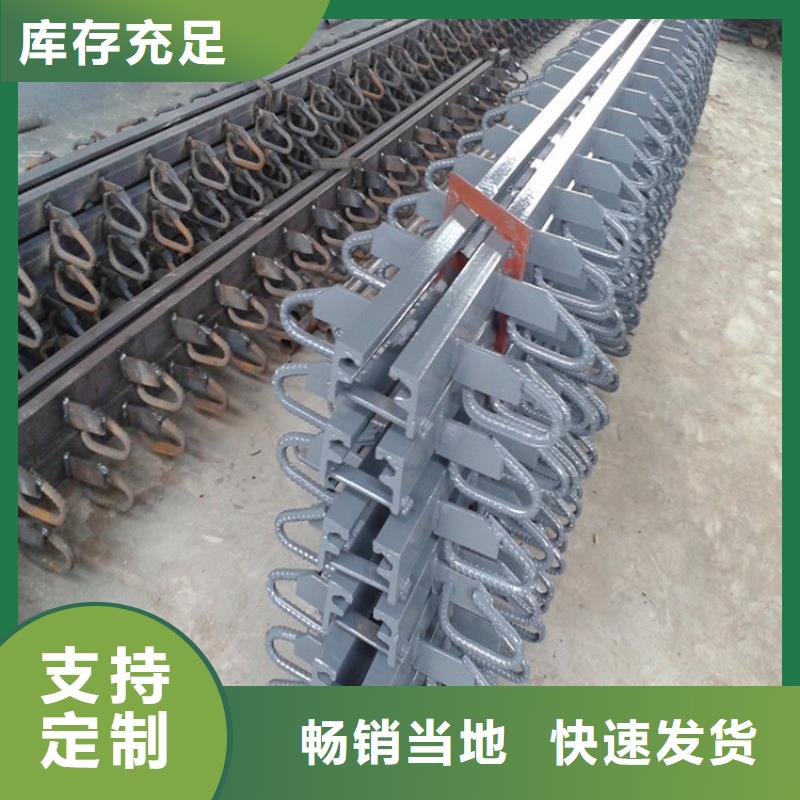 质量可靠的FSS80型桥梁伸缩缝公司产品细节