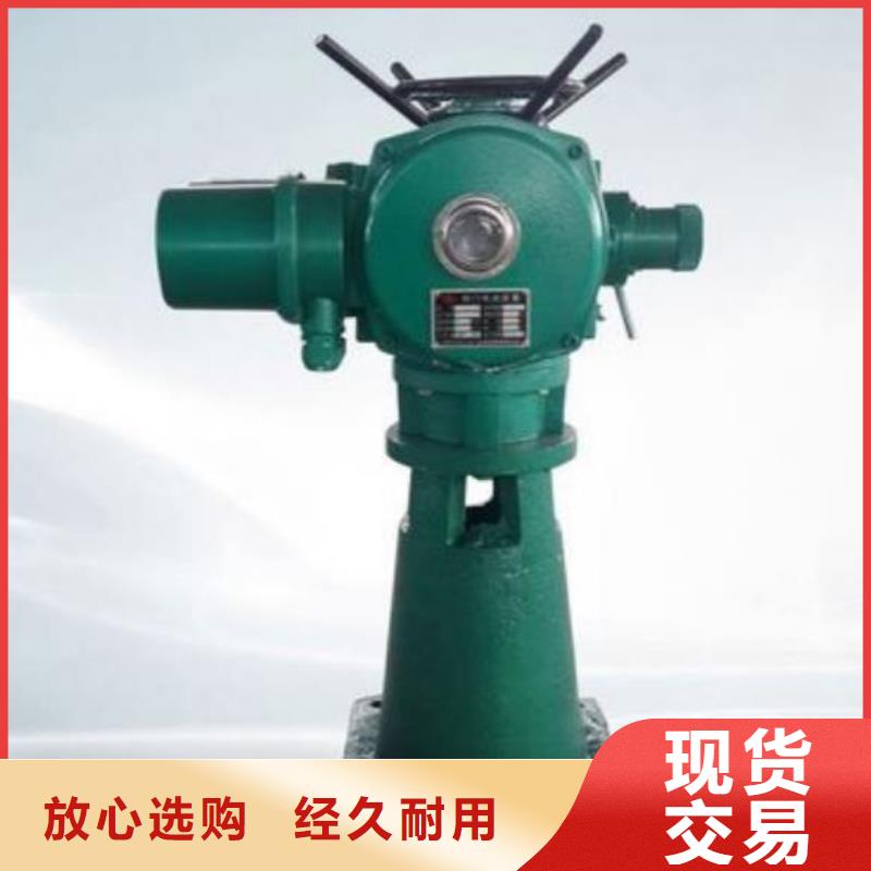 LQD50KN手电两用螺杆式启闭机现货价格厂家直销