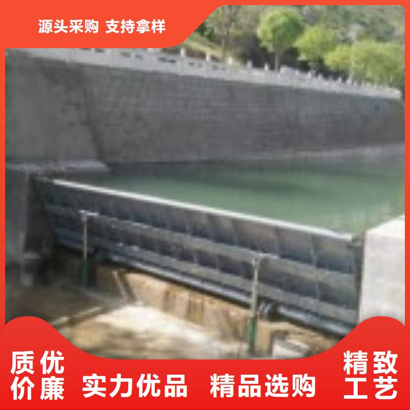 平面定轮闸门口碑好好货直销