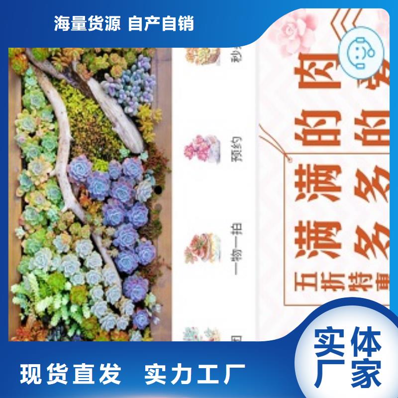 小程序公众号代运营支持非标定制