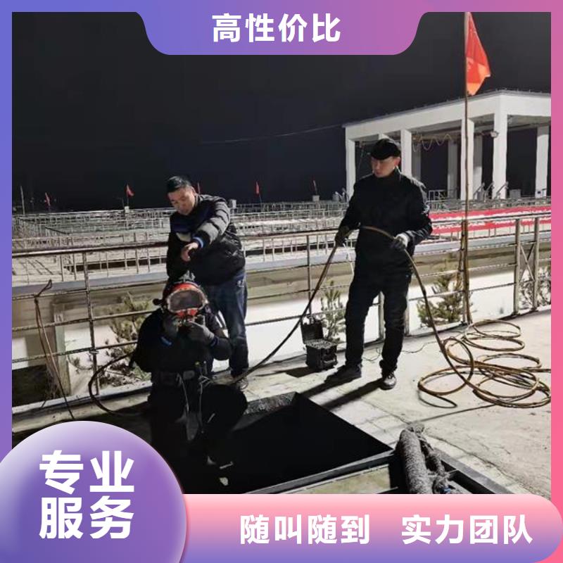 潜水员打捞队专业蛙人潜水队当地生产商