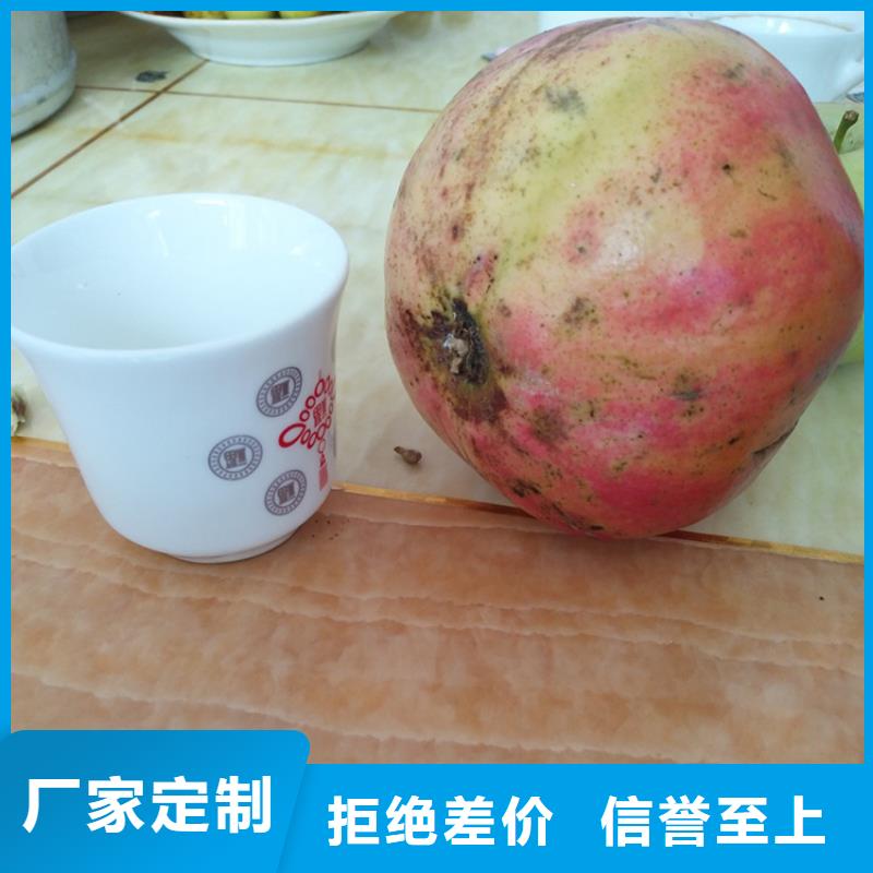 黑籽石榴树苗批发价格襄樊用心服务