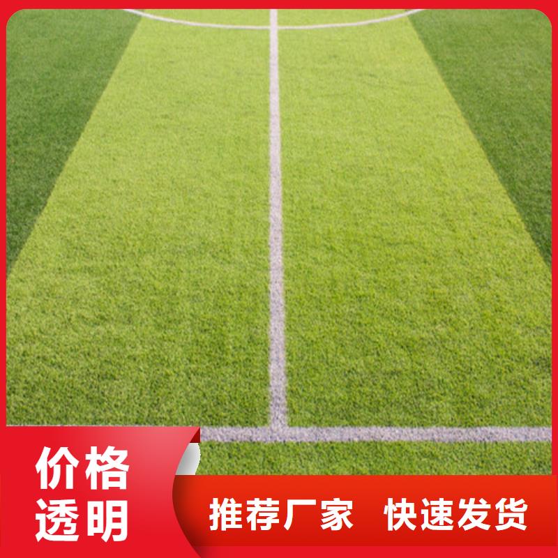 桃江球场人造草坪质量放心本地货源