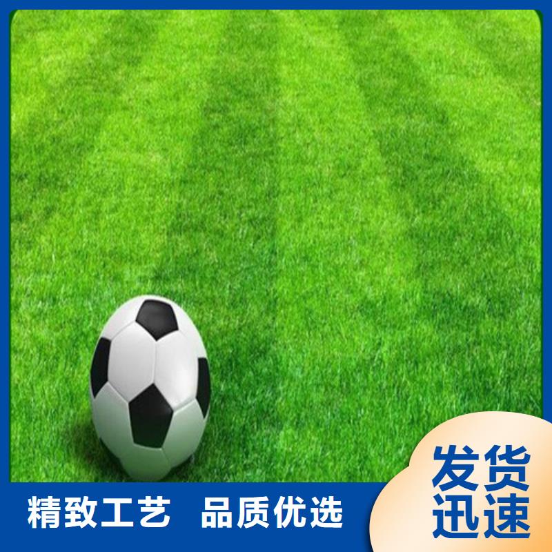隆回足球场人造草坪近期行情口碑好实力强