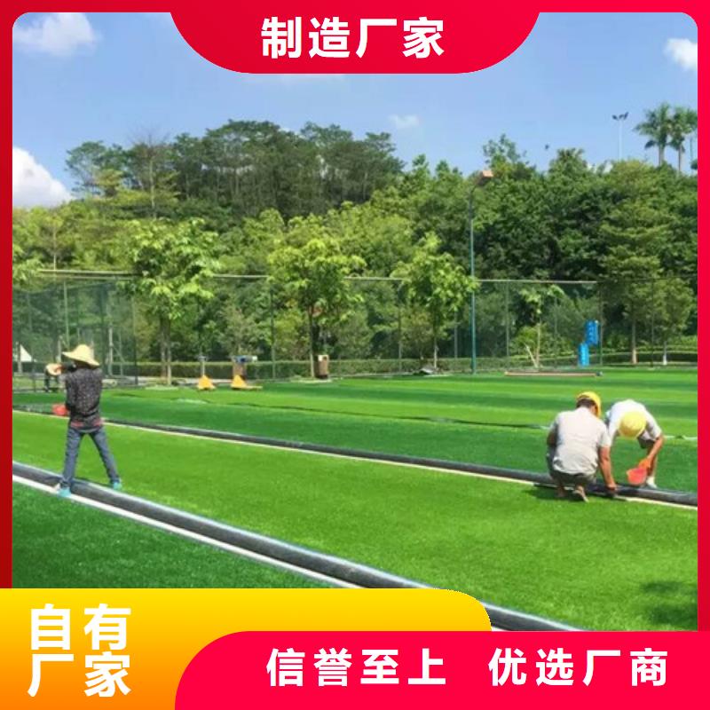 茶陵足球场人造草坪来图定制质量不佳尽管来找我