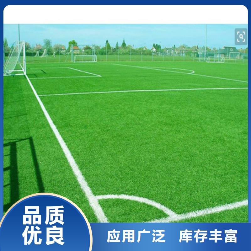 围挡草坪品种齐全现货