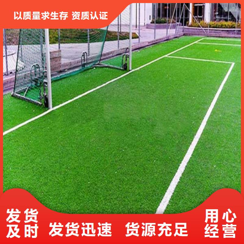 茶陵球场人造草坪在线咨询本地品牌