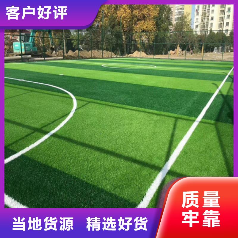 芦淞足球场人造草坪服务为先支持定制贴心售后