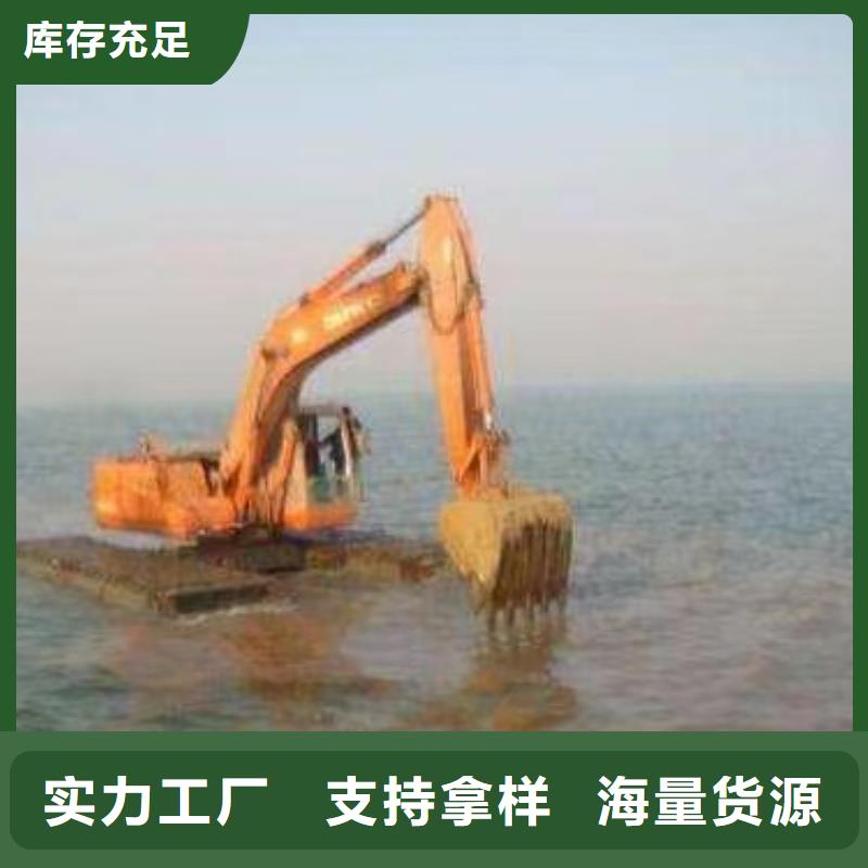 水陆挖掘机出租	免费拿样今日价格