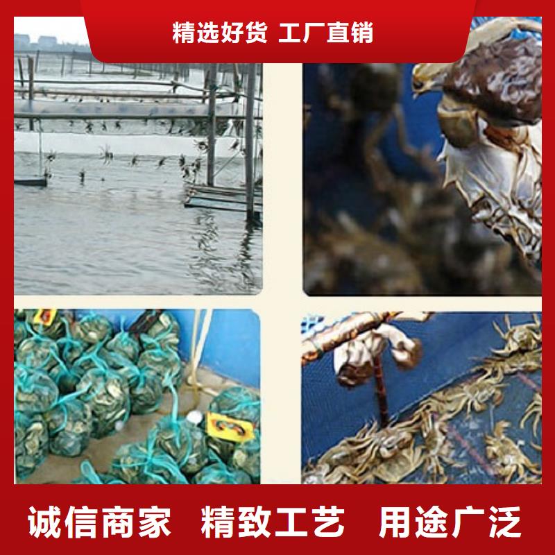 阳澄湖大闸蟹包邮优良工艺