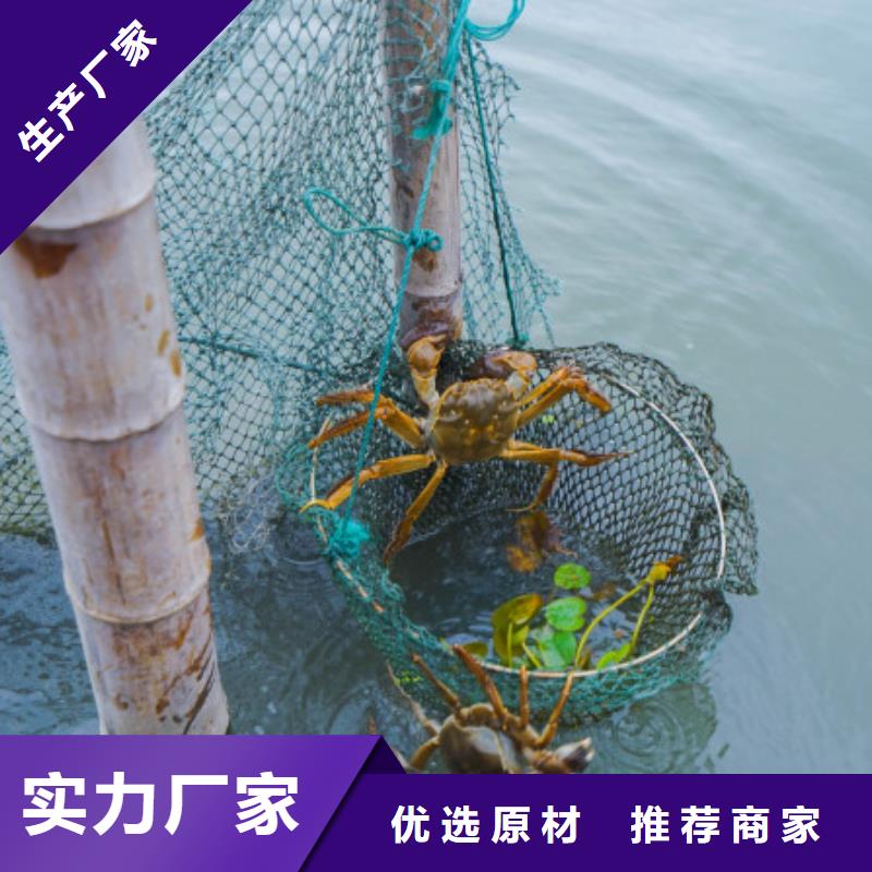 大闸蟹品质优良设备齐全支持定制