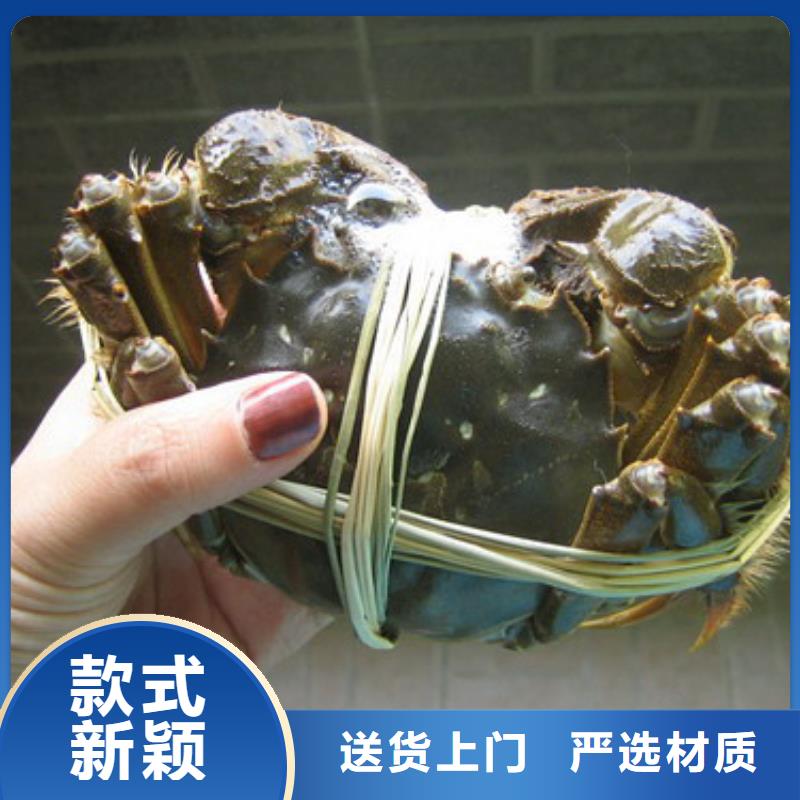 哪里卖阳澄湖大闸蟹同城品牌