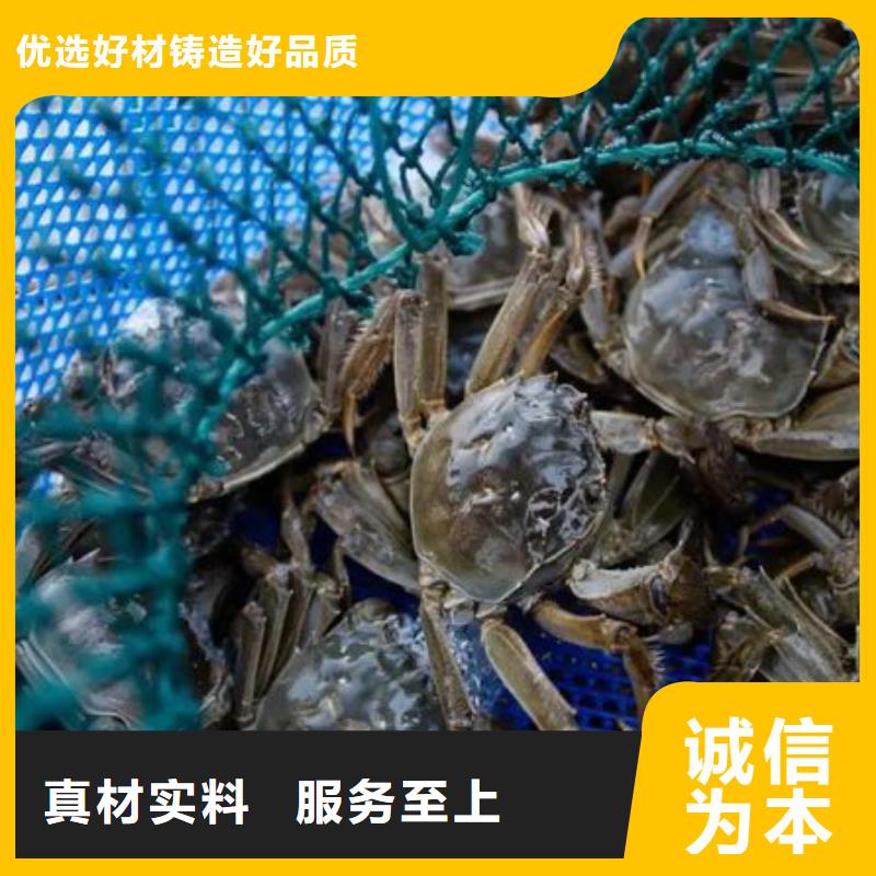 哪里卖阳澄湖大闸蟹本地生产厂家