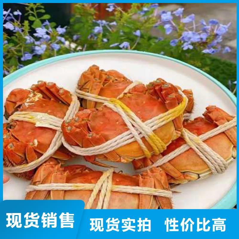 大闸蟹促销等你来精选优质材料
