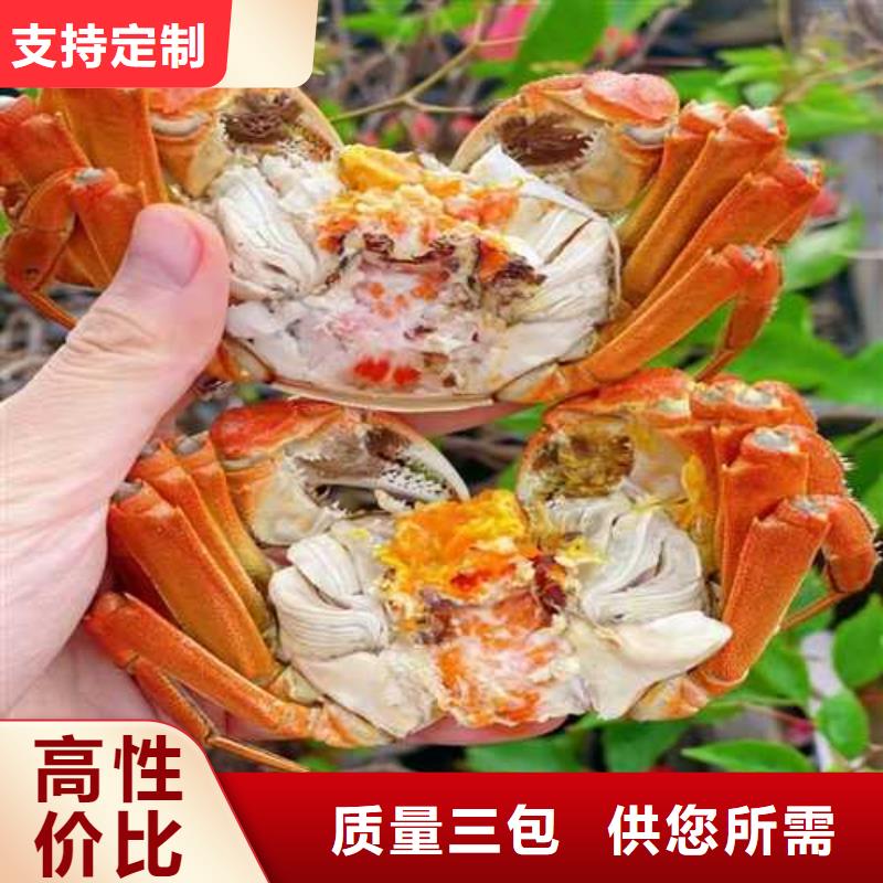 大闸蟹上门施工性能稳定