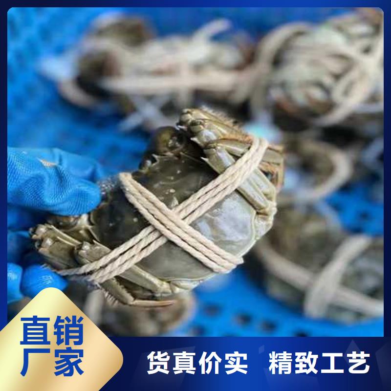 阳澄湖大闸蟹一站式采购库存充足