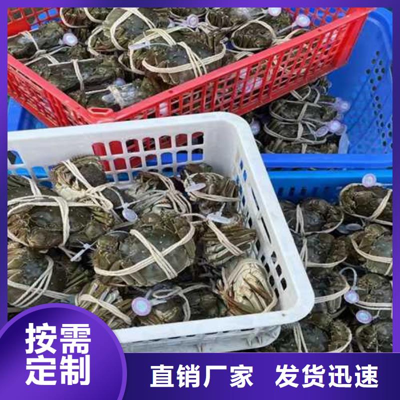 常年供应大闸蟹-品牌支持非标定制