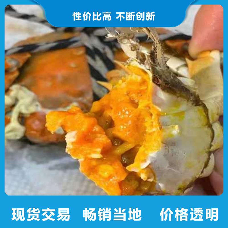 价格低的大闸蟹品牌厂家同城制造商