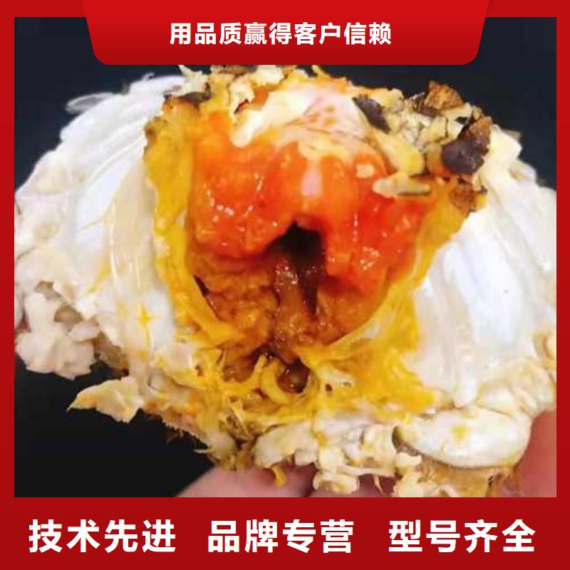 南方大闸蟹一只价格厂家采购
