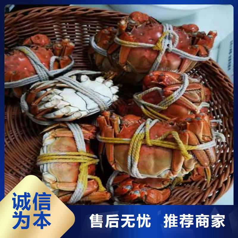 打螃蟹多年专注我们更专业