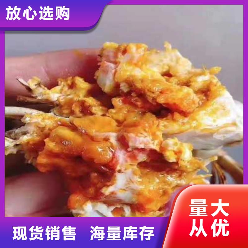 衢江阳澄湖大闸蟹放心选购欢迎来电询价