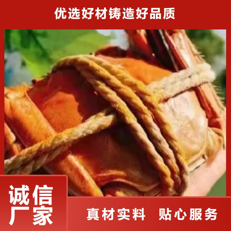 阳澄湖大闸蟹保证库存齐全厂家直供