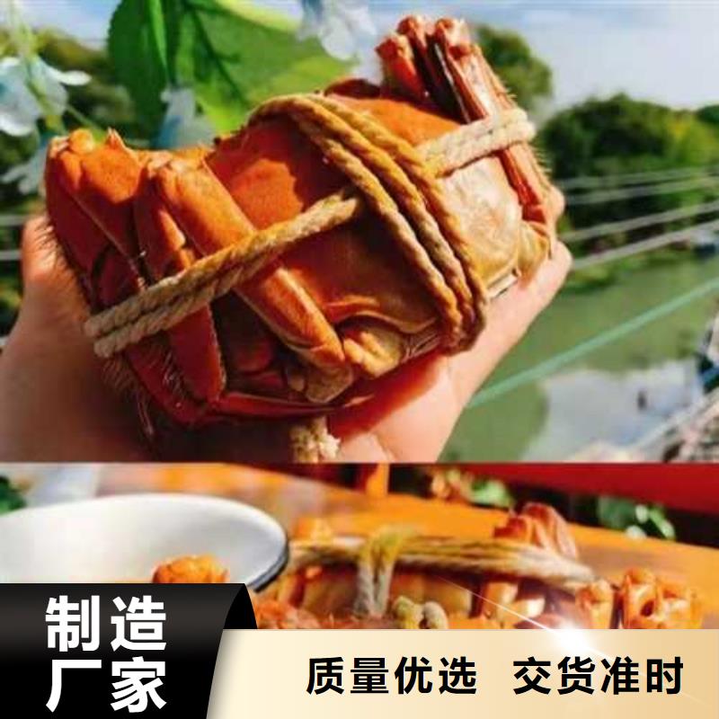 龙游阳澄湖大闸蟹放心选购本地制造商