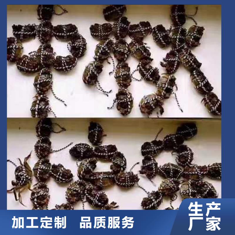 阳澄湖大闸蟹当地制造商