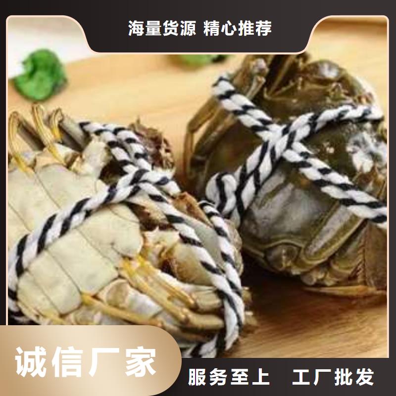 供应阳澄湖大闸蟹的生产厂家本地生产商