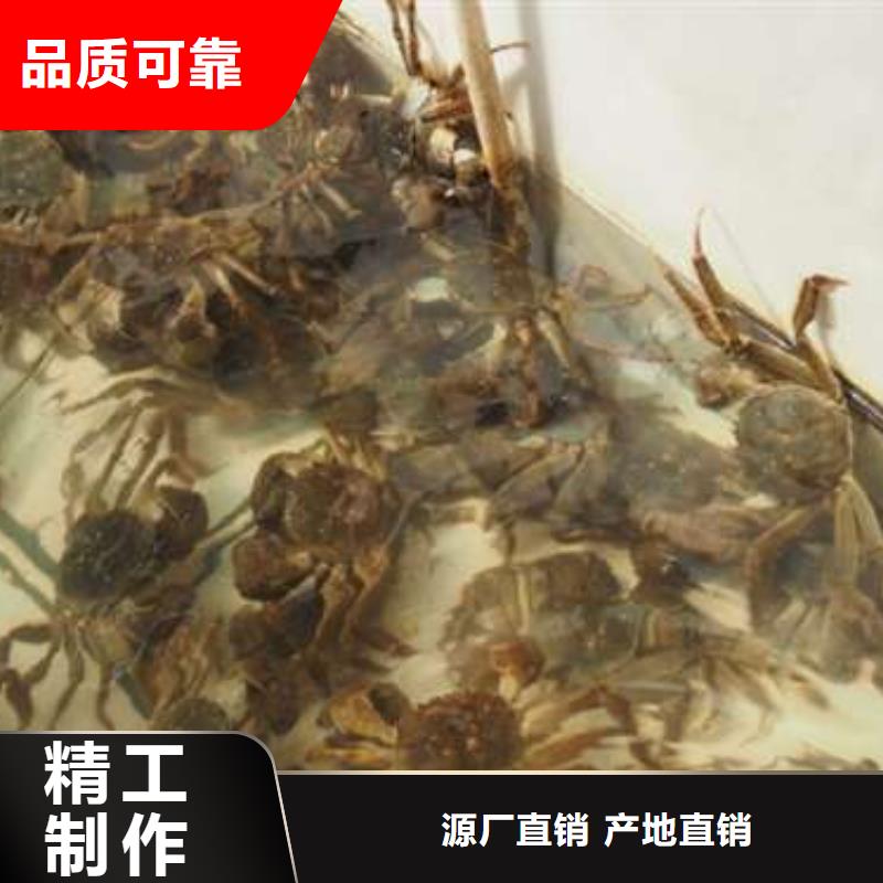阳澄湖大闸蟹、阳澄湖大闸蟹生产厂家-欢迎新老客户来电咨询严选材质