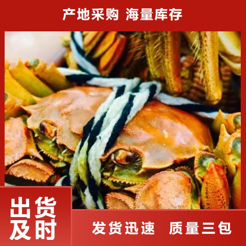 阳澄湖大闸蟹_保证详细参数