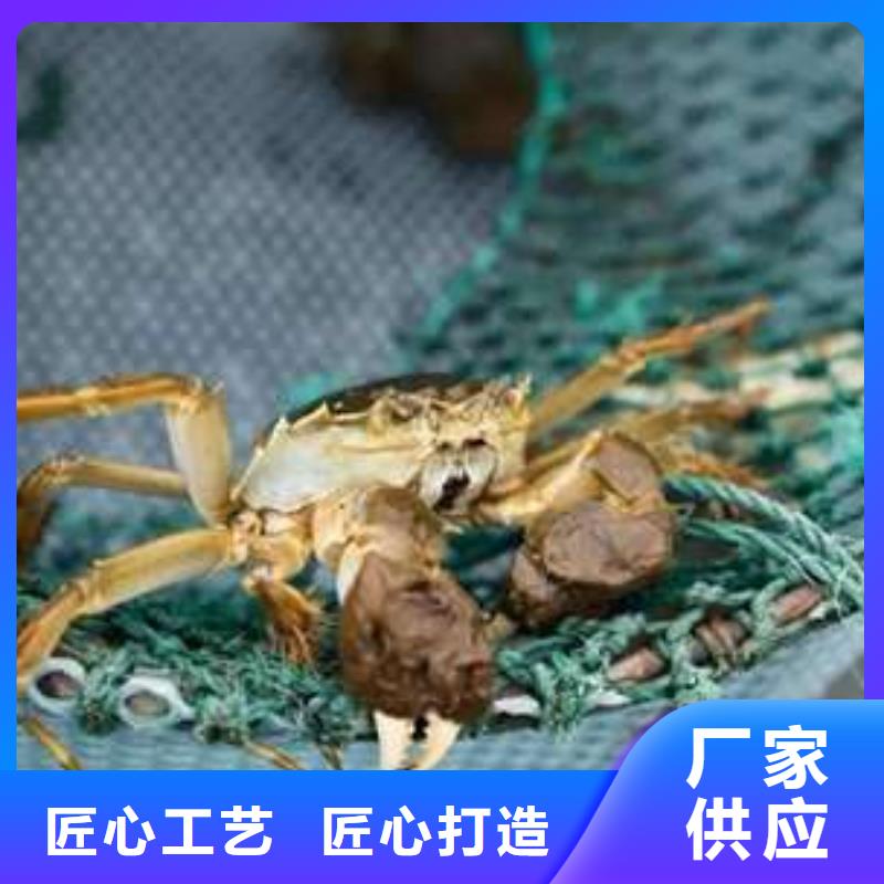 阳澄湖大闸蟹低于市场价用心做好每一件产品