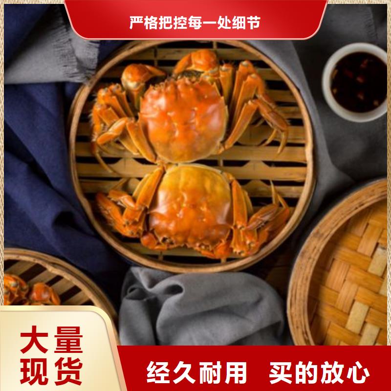 阳澄湖大闸蟹-精选厂家厂家销售