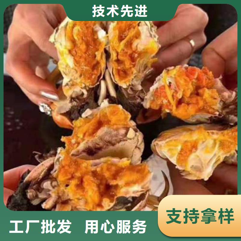 阳澄湖大闸蟹工艺精湛好产品不怕比