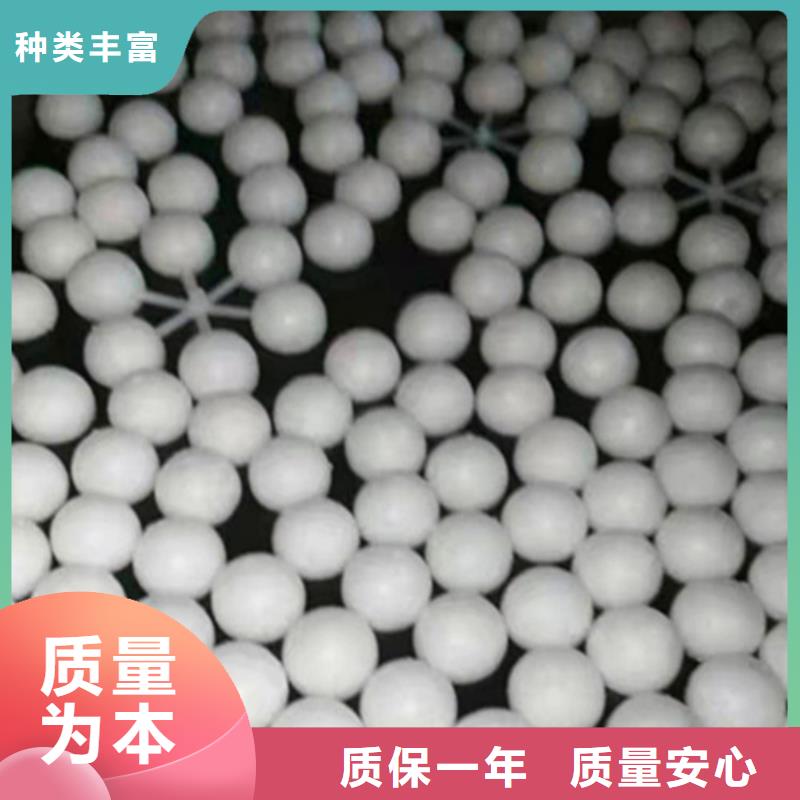 改性纤维球品质放心货号2-101同城货源
