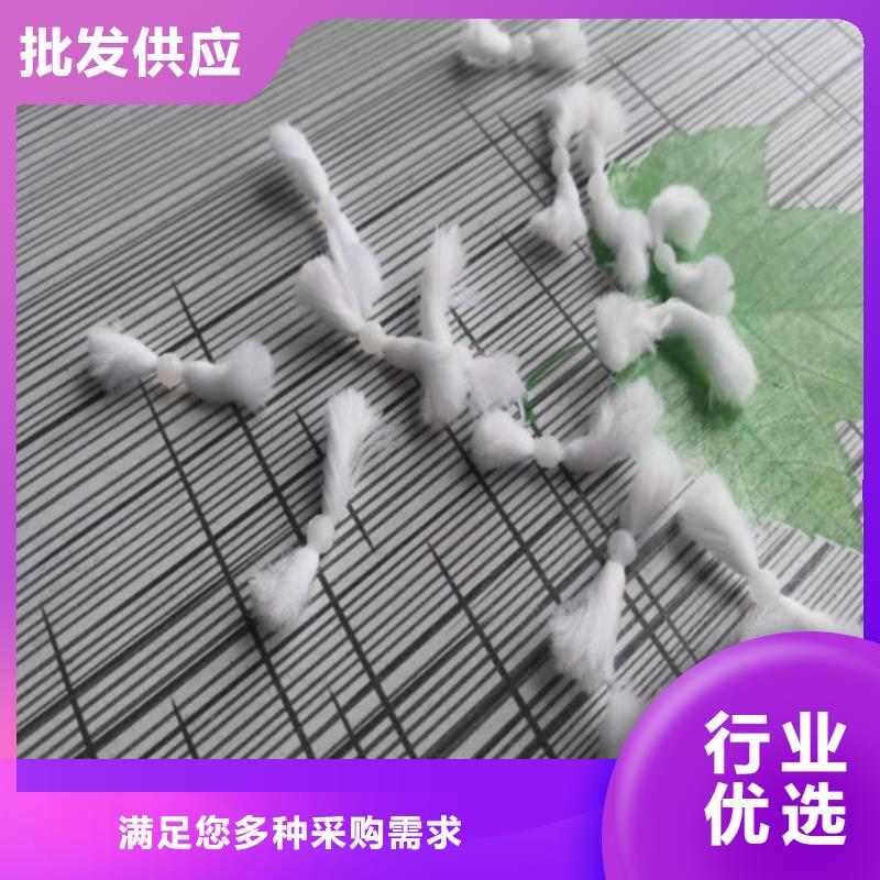 改性纤维球厂家量大从优货号2-101客户满意度高